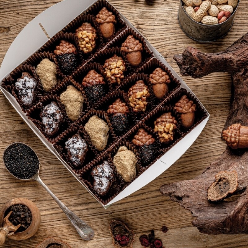 티니,주식회사 티니, 도토리, 도토리빵, 빵, 도토리 음료, 음료, 도토리 파우더, 건강식품, 파우더